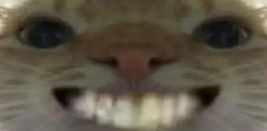 魔性恶搞