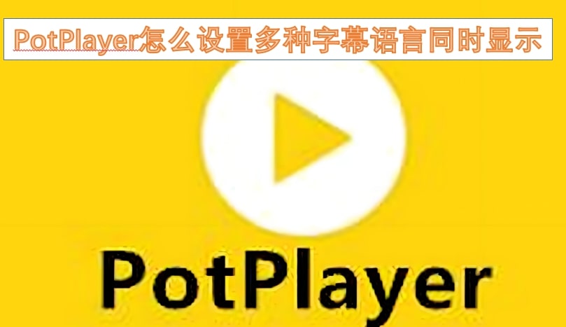 PotPlayer怎么设置多种字幕语言同时显示