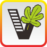 51自学网app