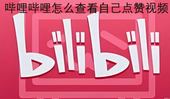 哔哩哔哩怎么查看自己点赞视频