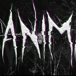 动物观察员免费版