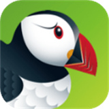puffin浏览器安卓版