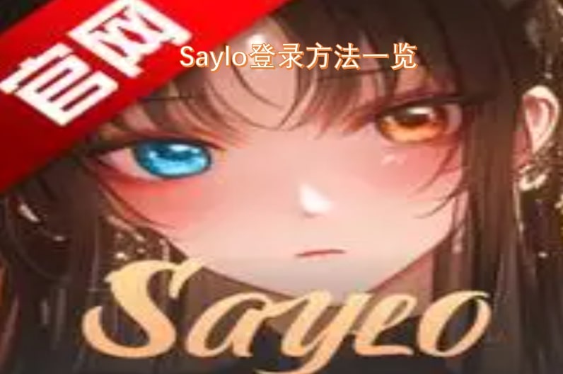 Saylo登录方法一览