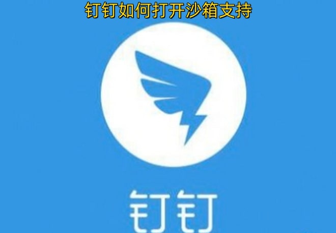 钉钉如何打开沙箱支持