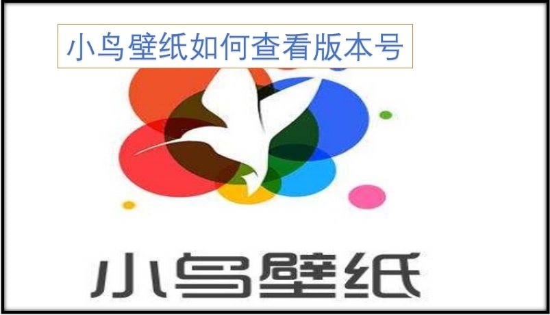 小鸟壁纸如何查看版本号