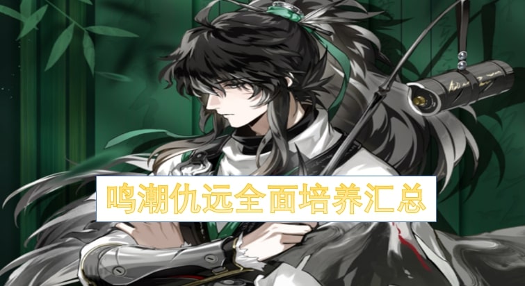 鸣潮仇远全面培养汇总