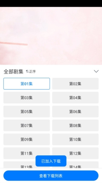 雷龙影视缓存图片3