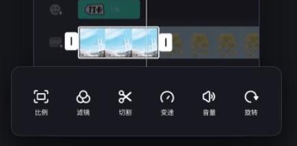 zycami专业模式