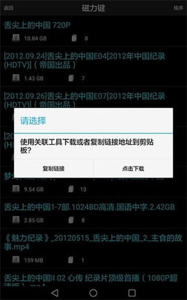 p2p种子搜索器