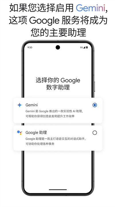 谷歌Gemini截图2
