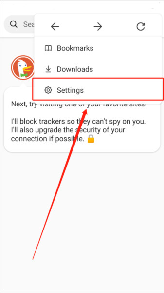 DuckDuckGo搜索引擎软件怎么设置中文截图1