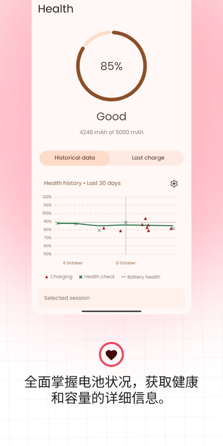 BATTERYGURU中文版截图1