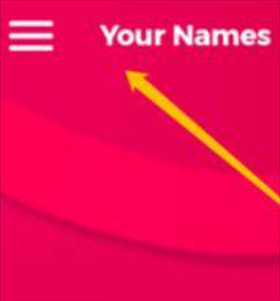 couple game官方版