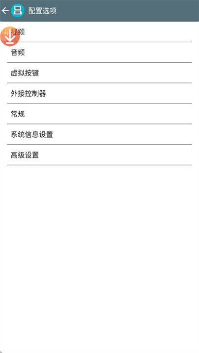 nds模拟器中文版截图2