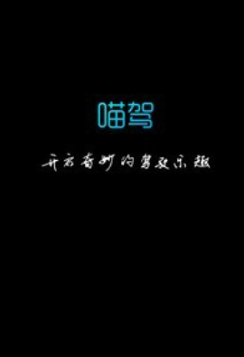 喵驾车机版