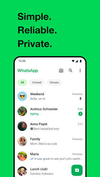 WhatsApp国内中文版截图1
