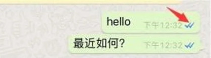 WhatsApp国内版2024最新版中文版下载-WhatsApp国内版官网正版app下载