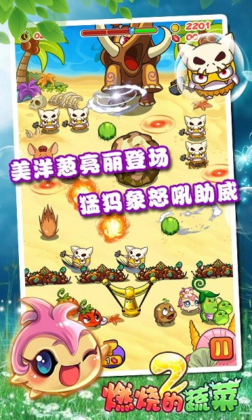 燃烧的蔬菜2经典版截图3