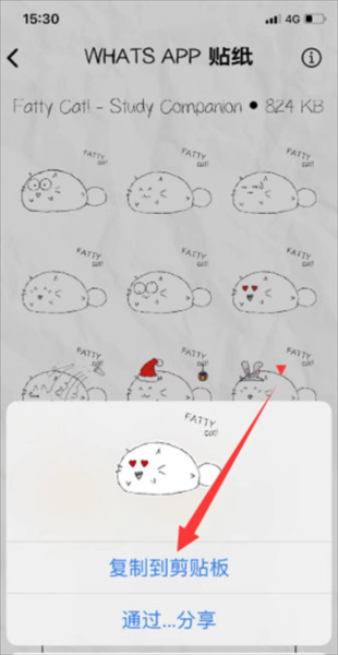 fatty cat图片