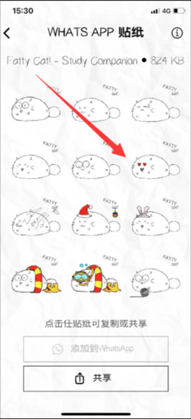 fatty cat图片