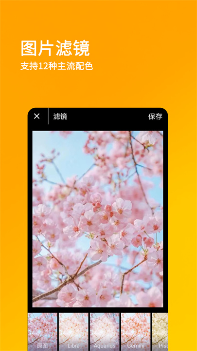 刷圈兔安卓版截图3