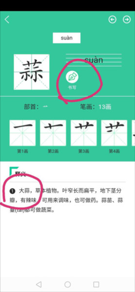 人教点读英语app13