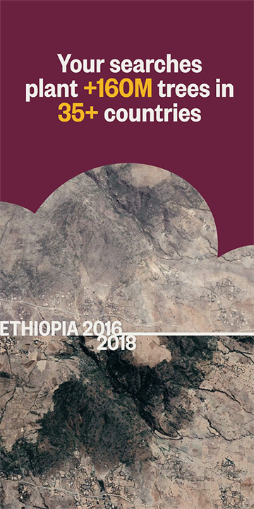 ECOSIA搜索引擎截图3