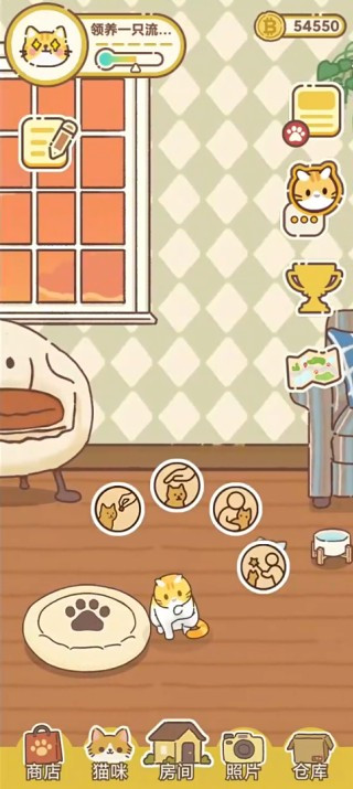 领养一只流浪猫游戏玩法2