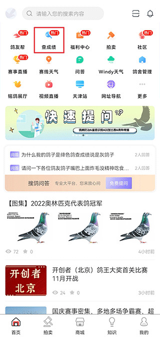 搜鸽网查询