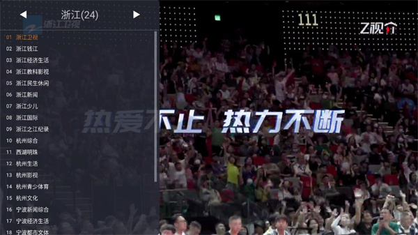 WebView电视截图5