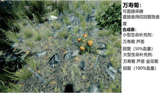 森林