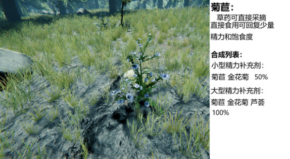 森林