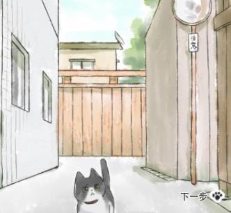 迷途猫
