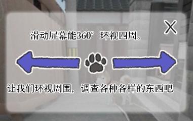 迷途猫