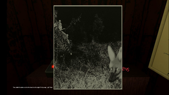 动物观察员免费版截图3