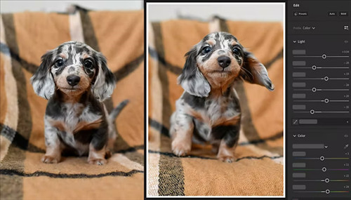 Adobe Lightroom mobile4