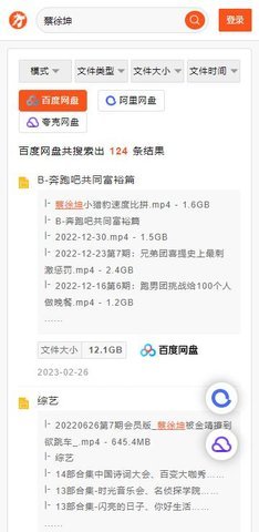 大力盘搜索引擎截图2