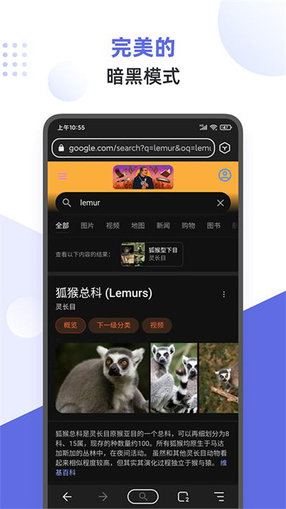 狐猴浏览器截图2