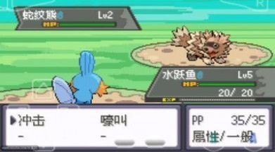 宠物小精灵绿宝石手机版截图1