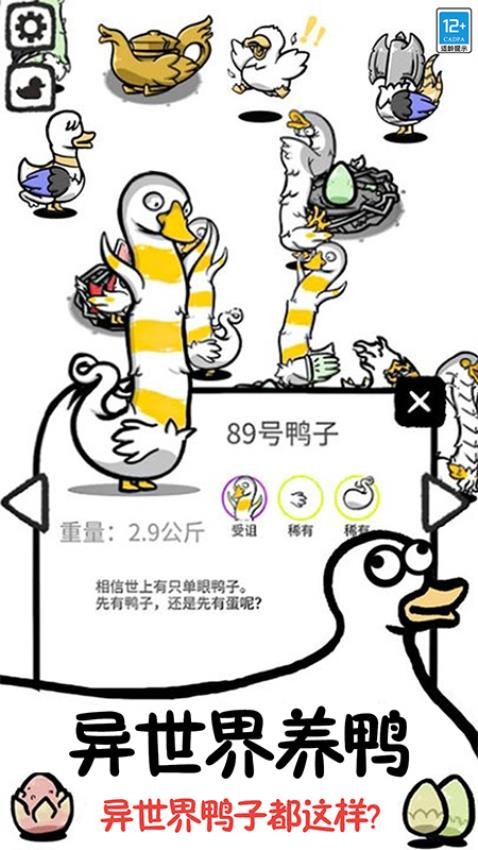 鸭了个鸭消消乐截图2