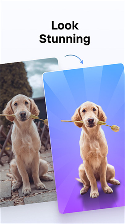 photoroom中文版截图4