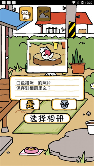 猫咪后院2汉化版截图2