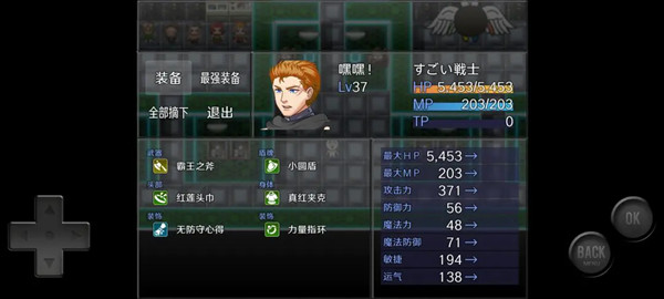 前卫的粪作rpg游戏