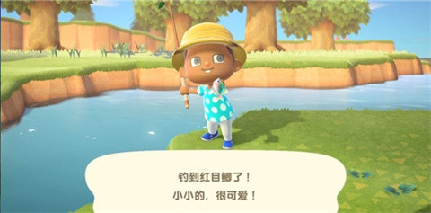 动物之森安卓版