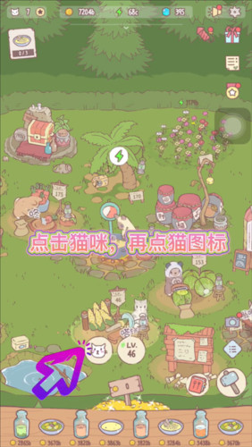 猫咪和汤国际服图片12