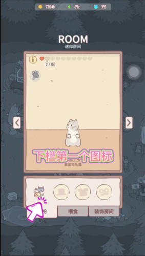 猫咪和汤国际服图片13