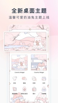 桌面主题colorful widget截图1